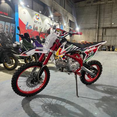 ПИТБАЙК 150 КУБ MOTOREX