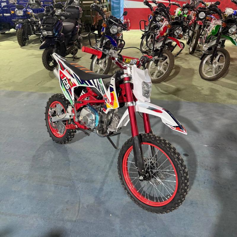 ПИТБАЙК 150 КУБ MOTOREX